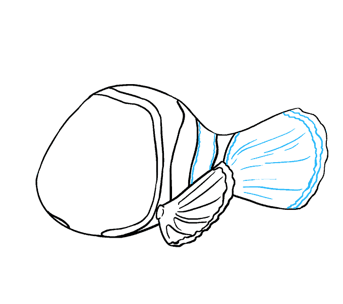 678x600 How To Draw Nemo In A Few Easy Steps Easy Drawing Guides - Nemo Sketch