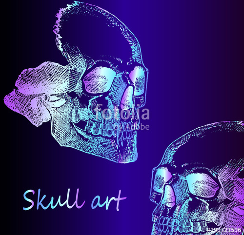 500x482 Stylish Sketch - Neon Sketch