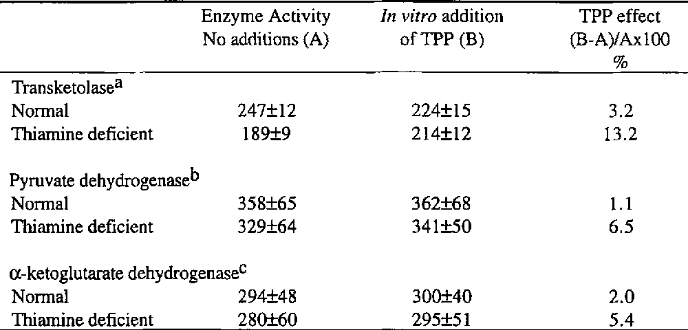 1000x480 Thiamine And Nervous System Function An Historical Sketch - Nervous System Sketch