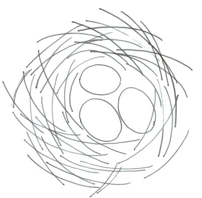 400x392 Nature Nest Karen Singh Designs - Nest Sketch