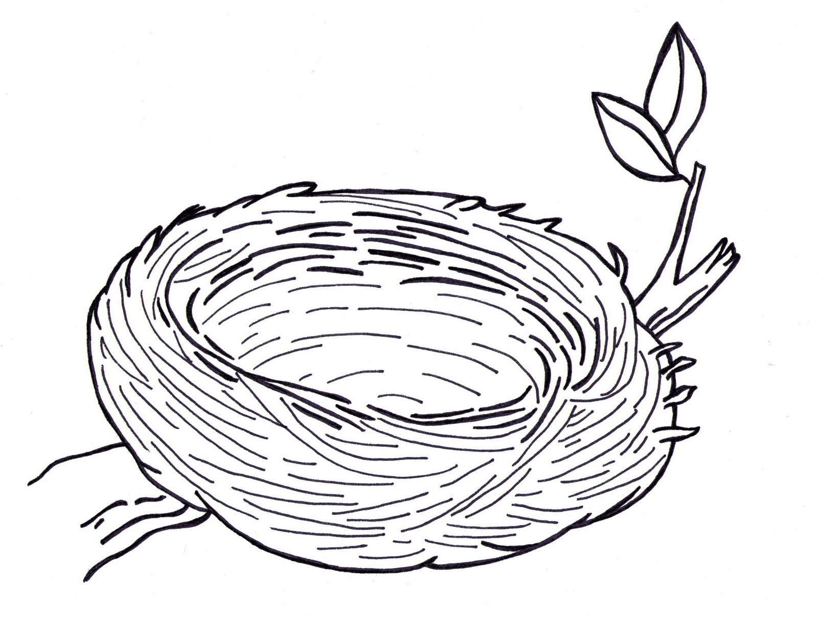 1600x1209 Nest Drawing Png Transparent Nest Drawing.png Images. Pluspng - Nest Sketch