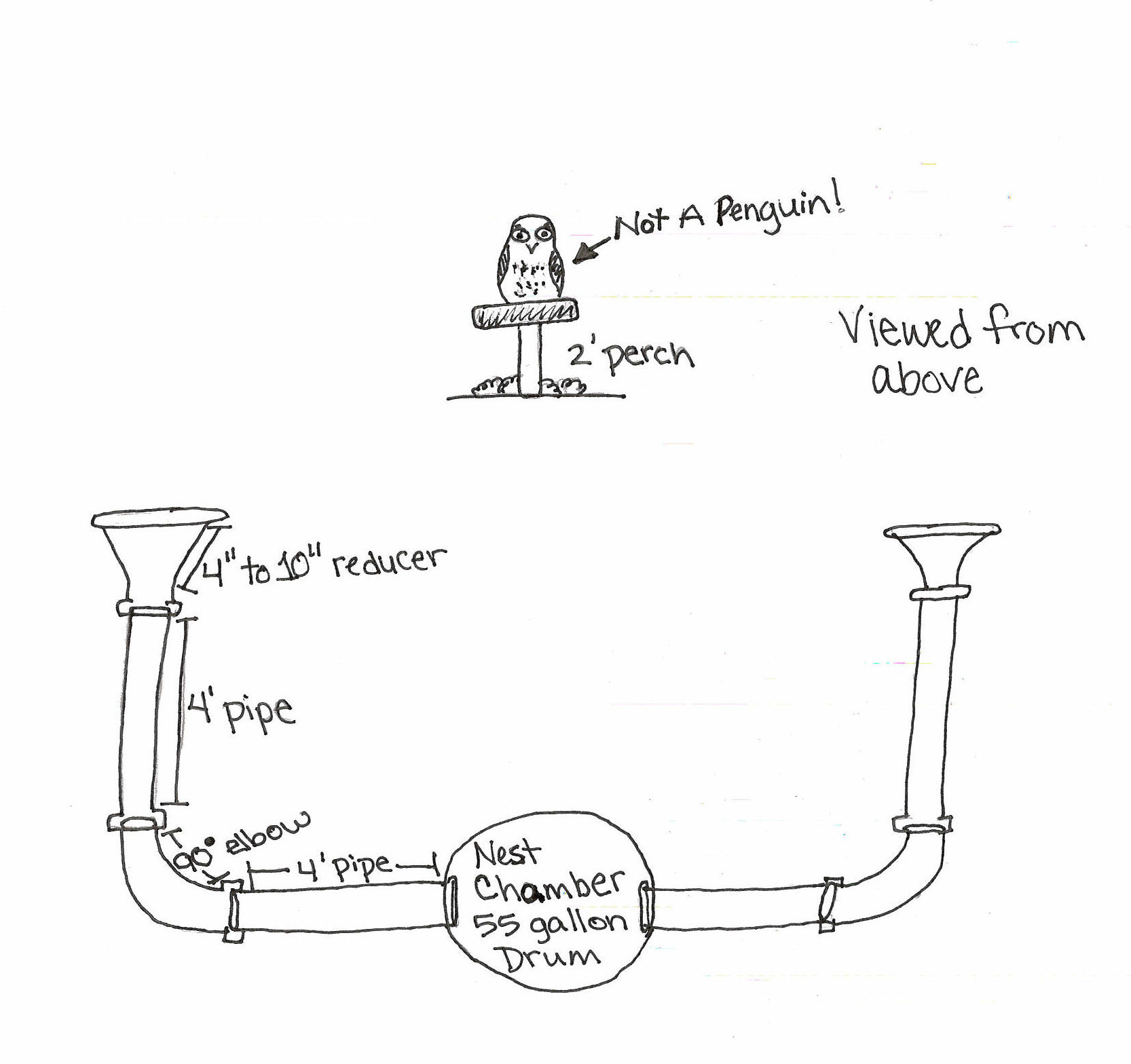 1666x1568 Placer Land Trust Owl Nest Sketch - Nest Sketch