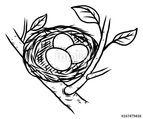 500x417 Bird Nest And Three Eggs Cartoon Vector And Illustration, Black - Nest Sketch