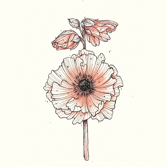 551x551 Sketches - Net Sketch