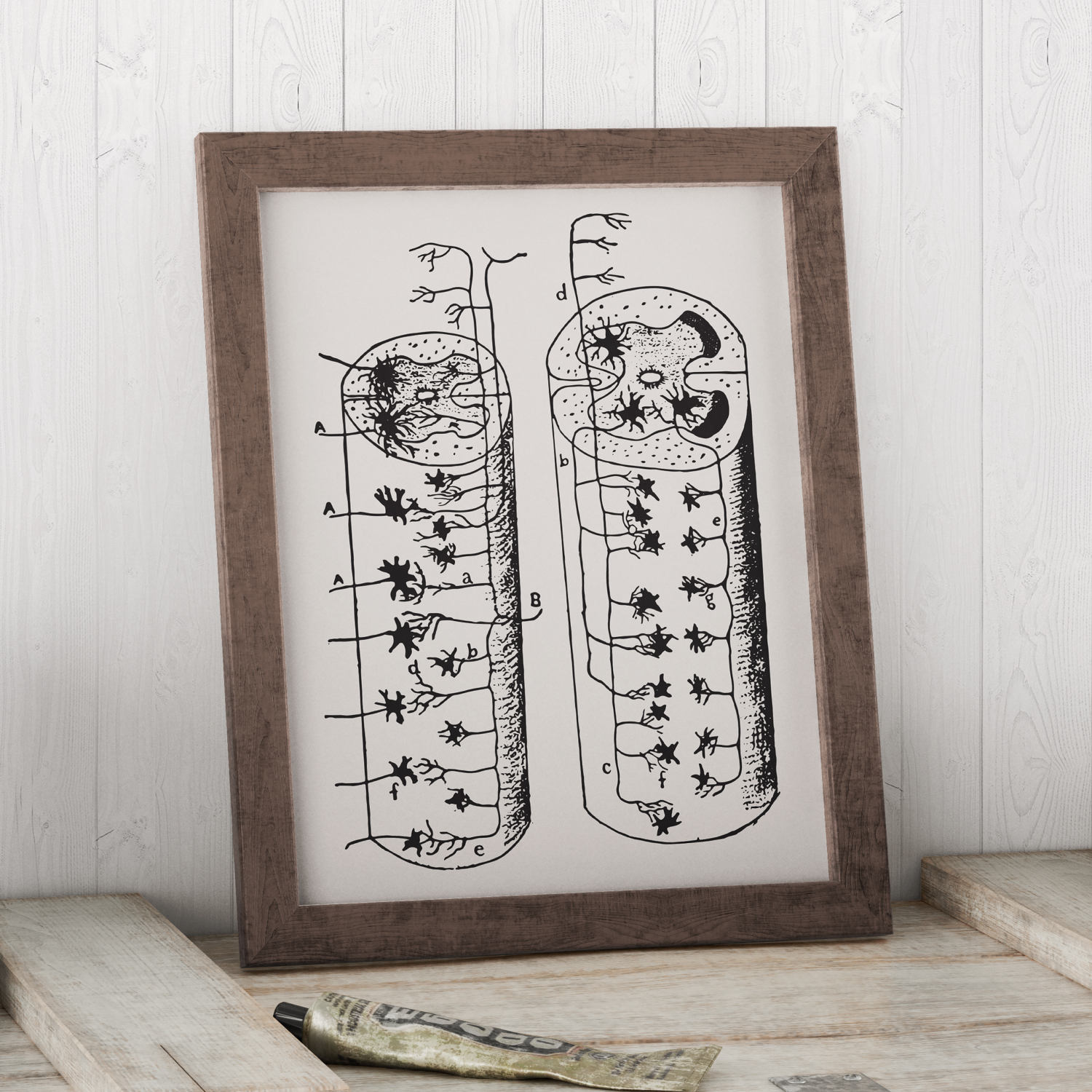 1500x1500 Neuron Sketch Print - Neuron Sketch