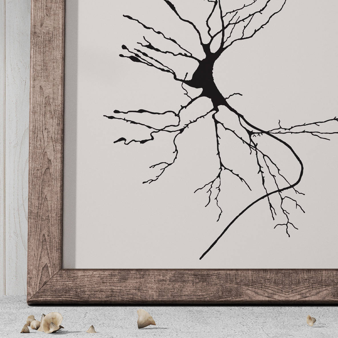 1184x1184 Dieters Cells Neuron Sketch - Neuron Sketch