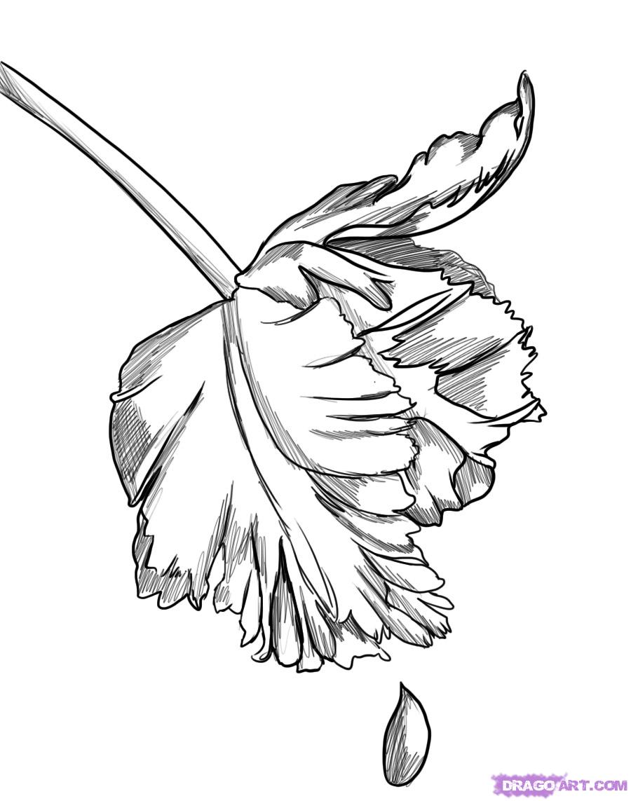 900x1143 Image - New Moon Sketch