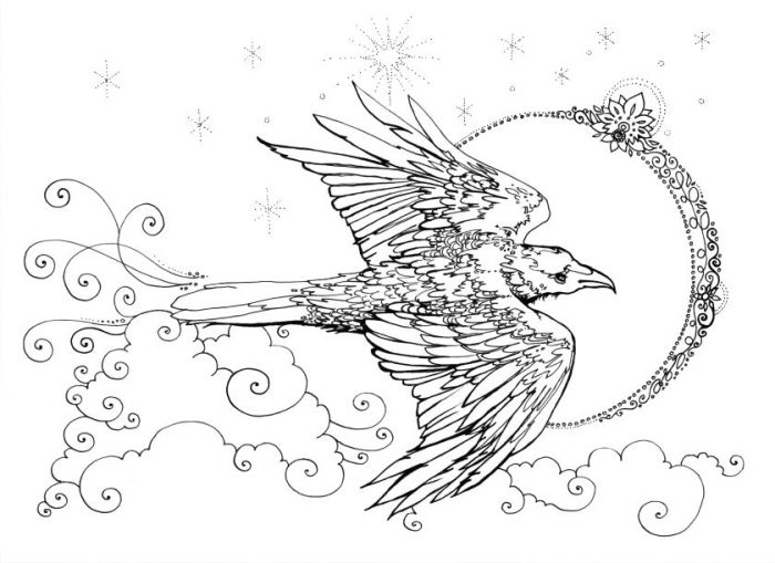 700x509 Sketch Fest! - New Moon Sketch