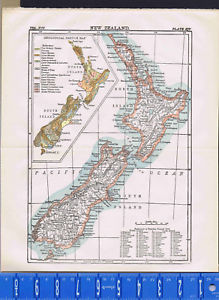 New Zealand Map Sketch