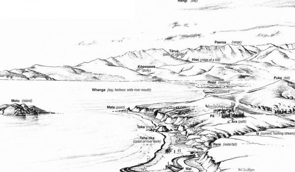 600x350 Place Names Land Information New Zealand (Linz) - New Zealand Map Sketch