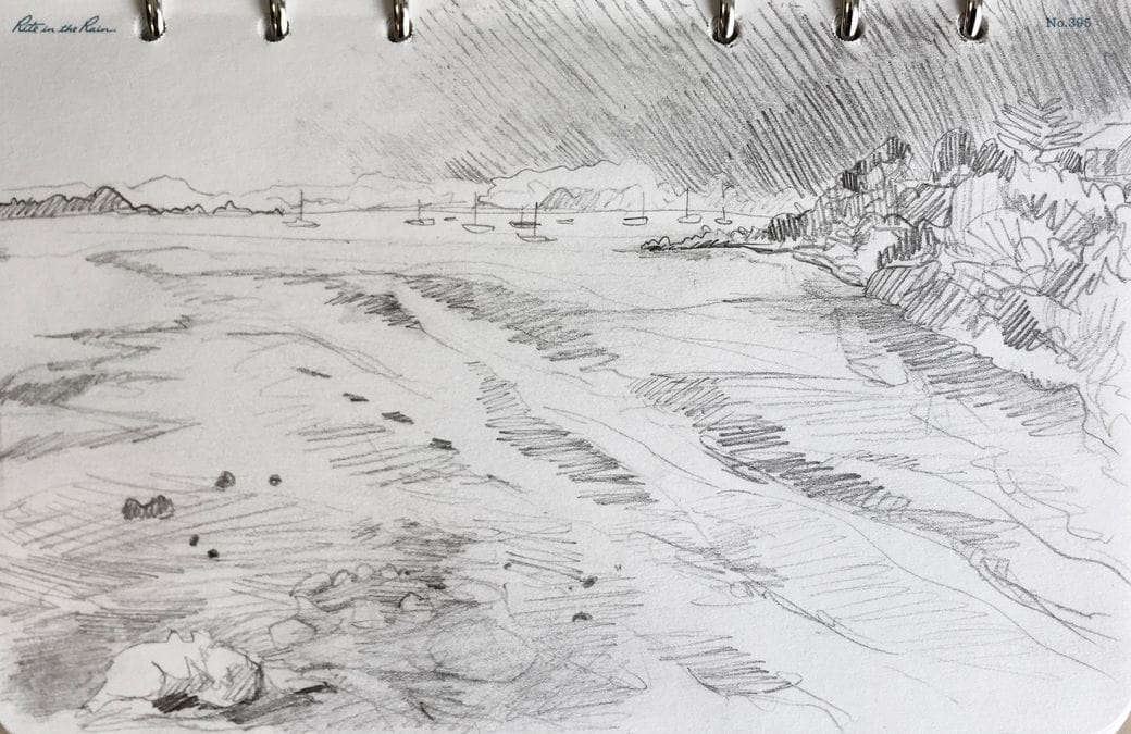 1040x675 Sketches From Seabirdland - New Zealand Sketch