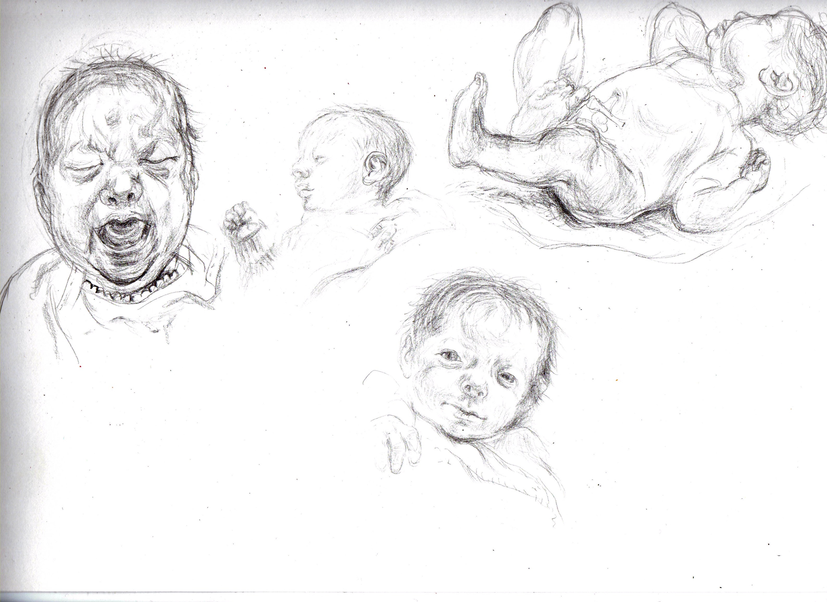 3176x2311 Insect Mothering A Newborn Infant A Sketch In Pencil - Newborn Sketch