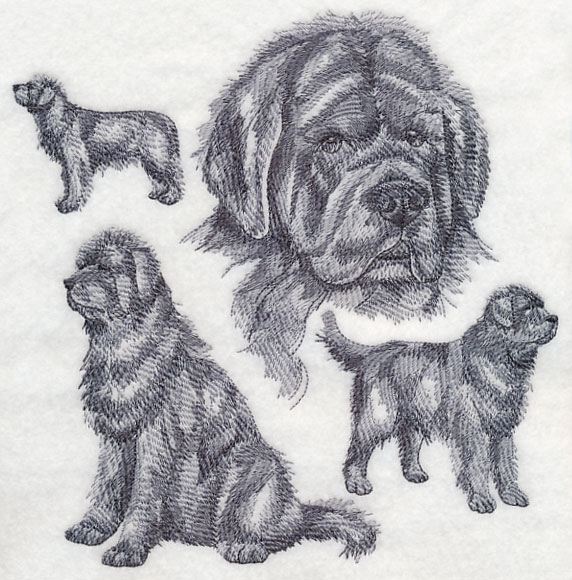 Newfoundland Dog Sketch at PaintingValley.com | Explore collection of ...