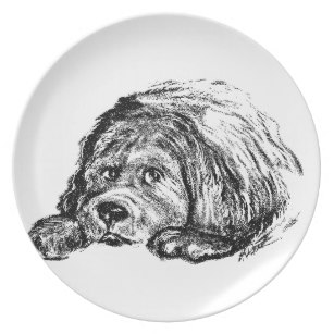 307x307 Newfoundland Dog Plates Zazzle - Newfoundland Dog Sketch