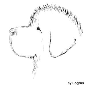 300x300 How To Groom A Newfoundland Dog - Newfoundland Dog Sketch