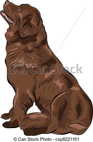 309x470 Vector Color Sketch Dog Newfoundland Hound Breed Sitting. Color - Newfoundland Sketch