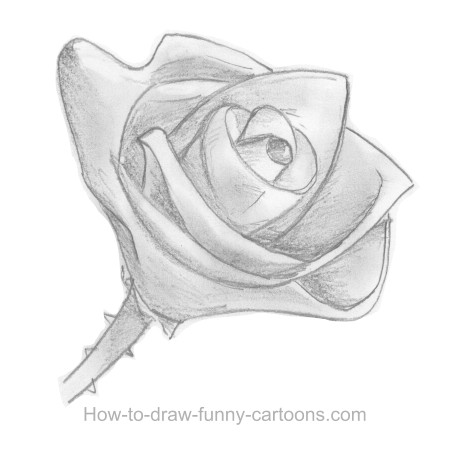 450x449 Sketches Of Roses - Nice Sketches