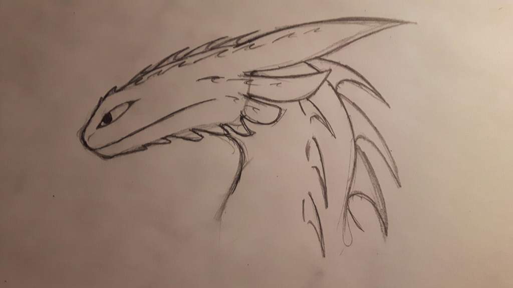 1024x576 New Night Fury Sketch H.t.t.y.d Amino - Night Fury Sketch