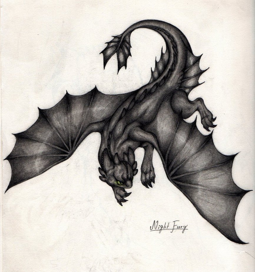 866x923 Night Fury Sketch By Hironi - Night Fury Sketch