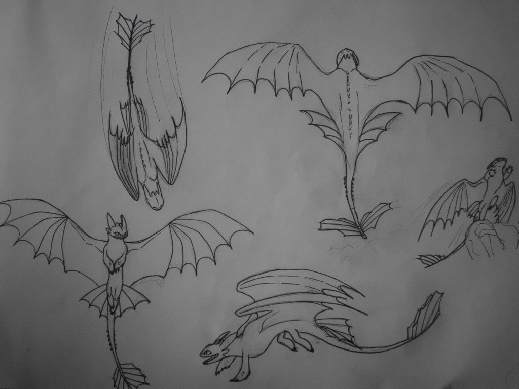 1024x768 Night Fury Flying Sketches By On - Night Fury Sketch