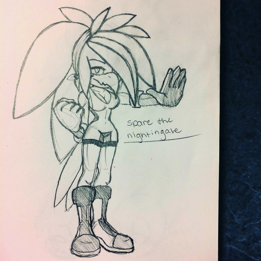 894x894 Spare The Nightingale Sketch By Melodyandtoxic - Nightingale Sketch