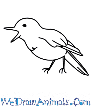 300x350 How To Draw A Nightingale - Nightingale Sketch