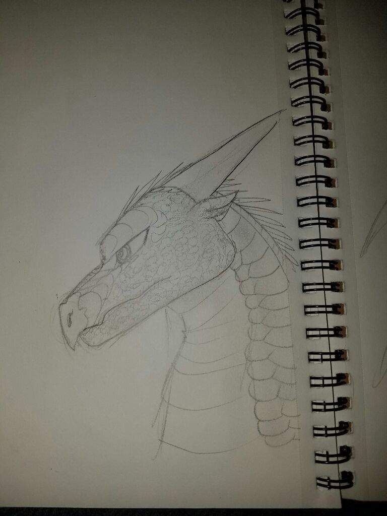 768x1024 Random Nightwing Sketch Wings Of Fire Amino - Nightwing Sketch