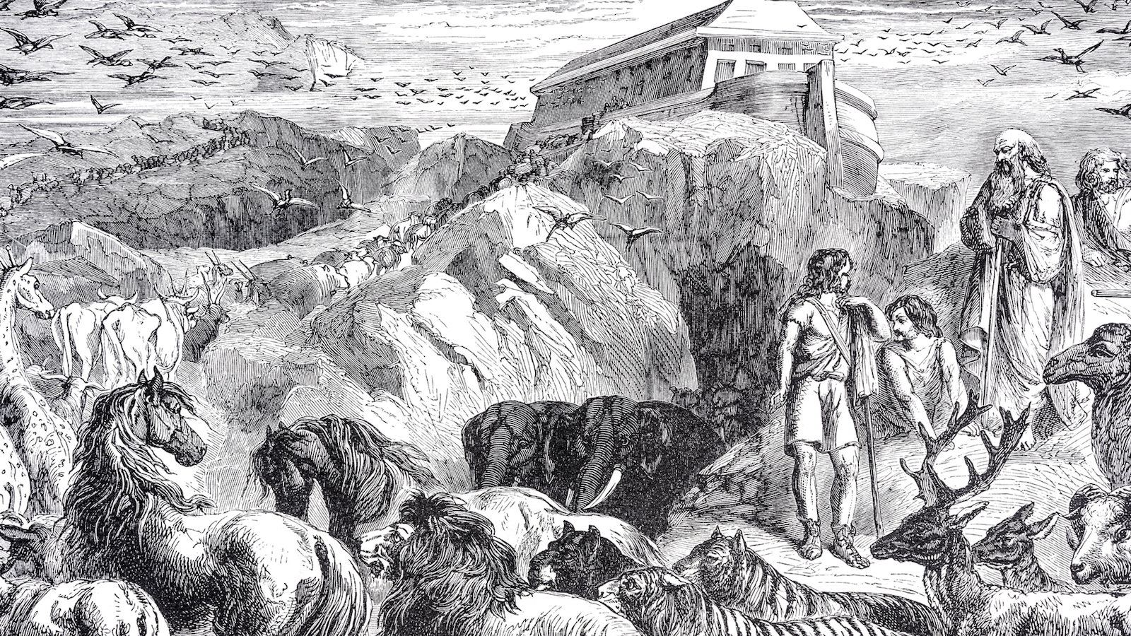 1600x900 Who Was Noah My Jewish Learning - Noah Sketch