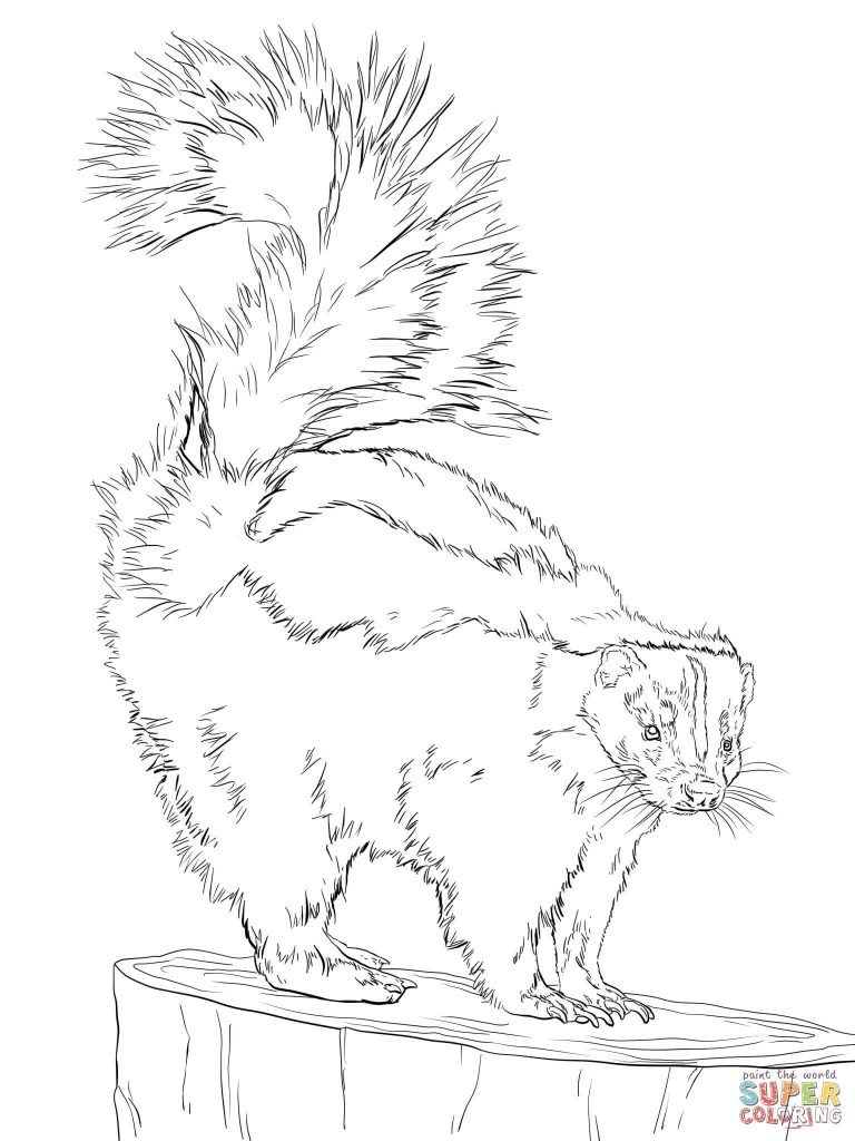 768x1024 Sketch Drawing Us Map Online Fresh North America Drawing At - North America Sketch