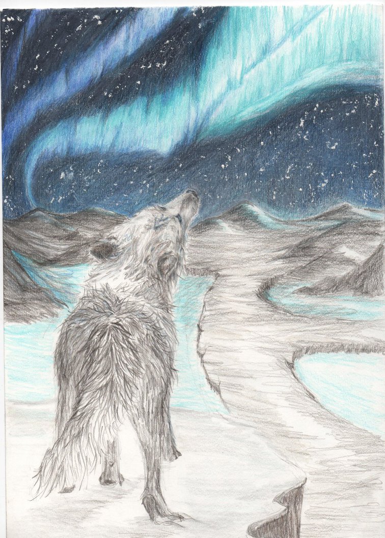 756x1056 Gazing - Northern Lights Sketch