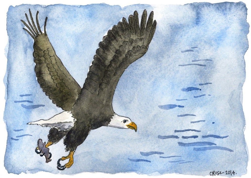 1000x710 Sketch Of Eagle Journals Amp Sketchbooks Northern - Northern Lights Sketch