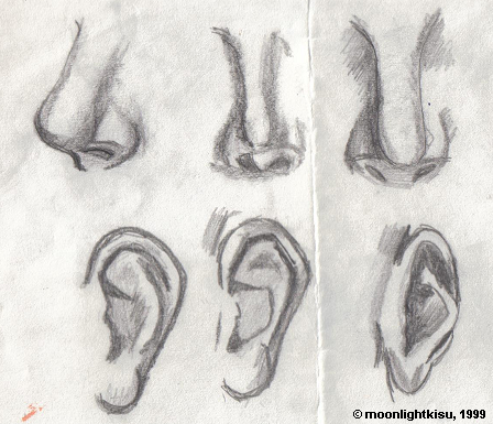 448x385 Nose And Ear Sketches By Moonlightkisu - Nose Pencil Sketch