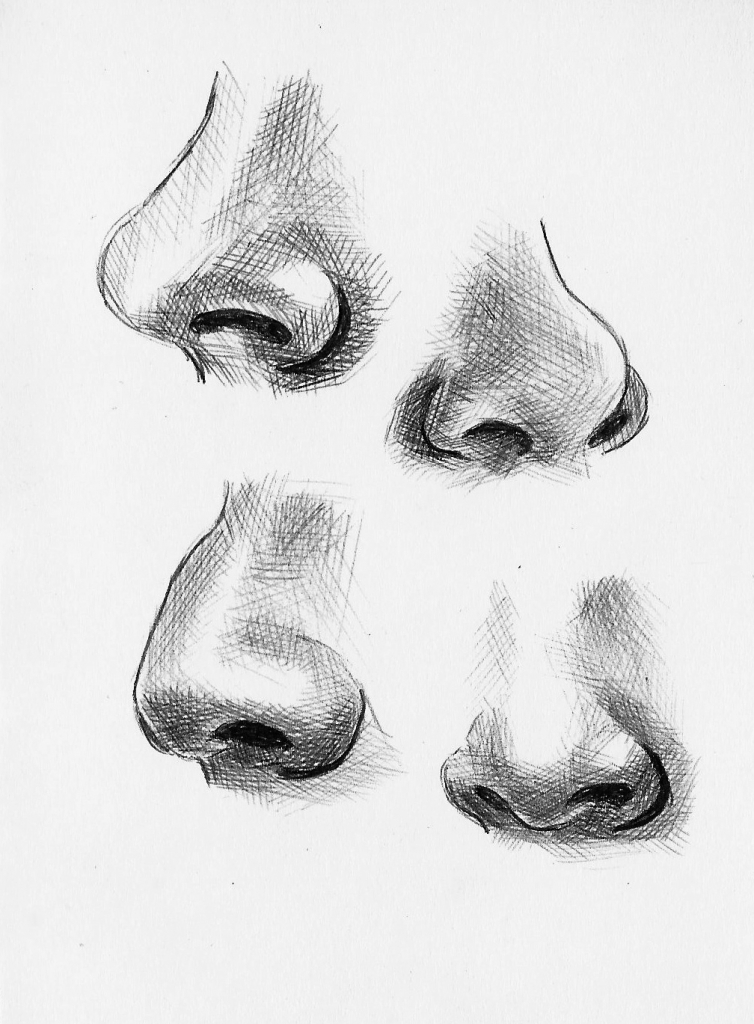 754x1024 Pencil Sketch Of Nose How To Draw A Realistic Nose - Nose Pencil Sketch