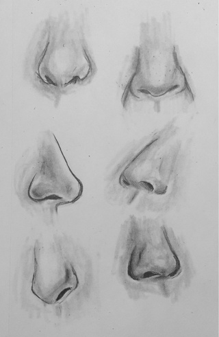 320x491 Some Nose Practice - Nose Pencil Sketch