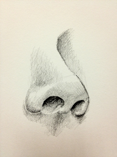 400x533 How To Draw A Nose - Nose Sketch