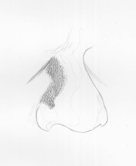 444x540 Nose Drawing Tutorial, How To Draw A Nose - Nose Sketch