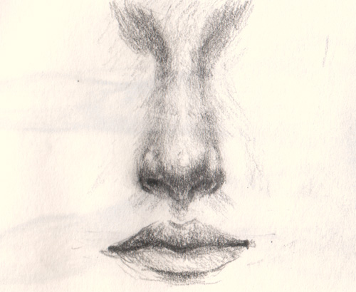500x410 How To Draw A Nose - Nose Sketch Images