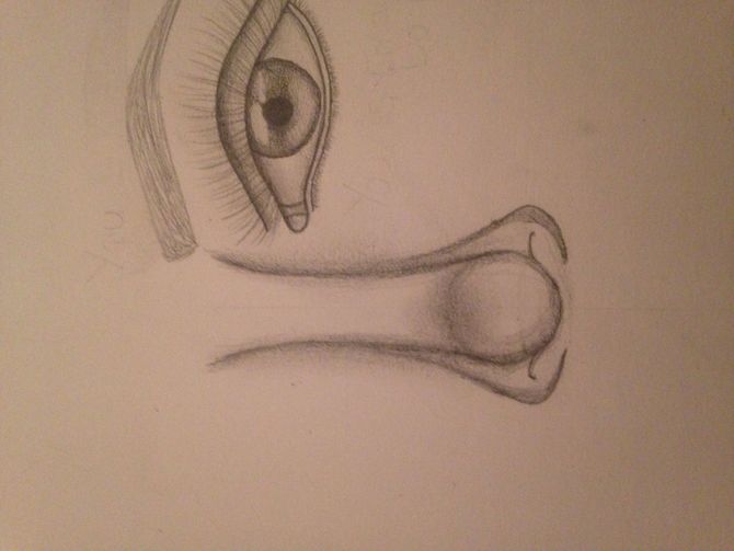 670x503 3 Ways To Draw A Nose - Nose Sketch Images