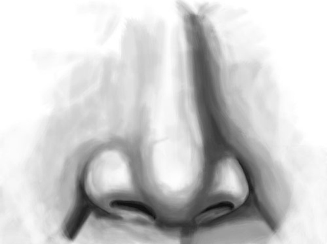 640x478 How To Draw A Nose - Nose Sketch Images