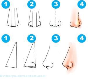 302x271 Draw Nose Step By Steps Side View And Front View Art - Nose Sketch Step By Step