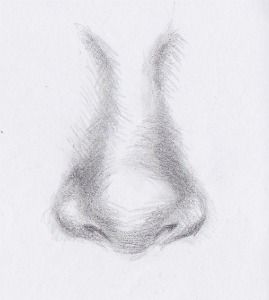 Nose Sketch Step By Step At Paintingvalleycom Explore