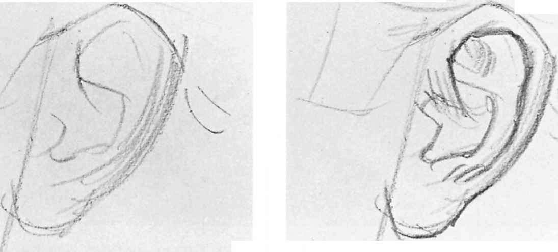 1095x495 How To Draw Portraits Step By Step - Nose Sketch Step By Step