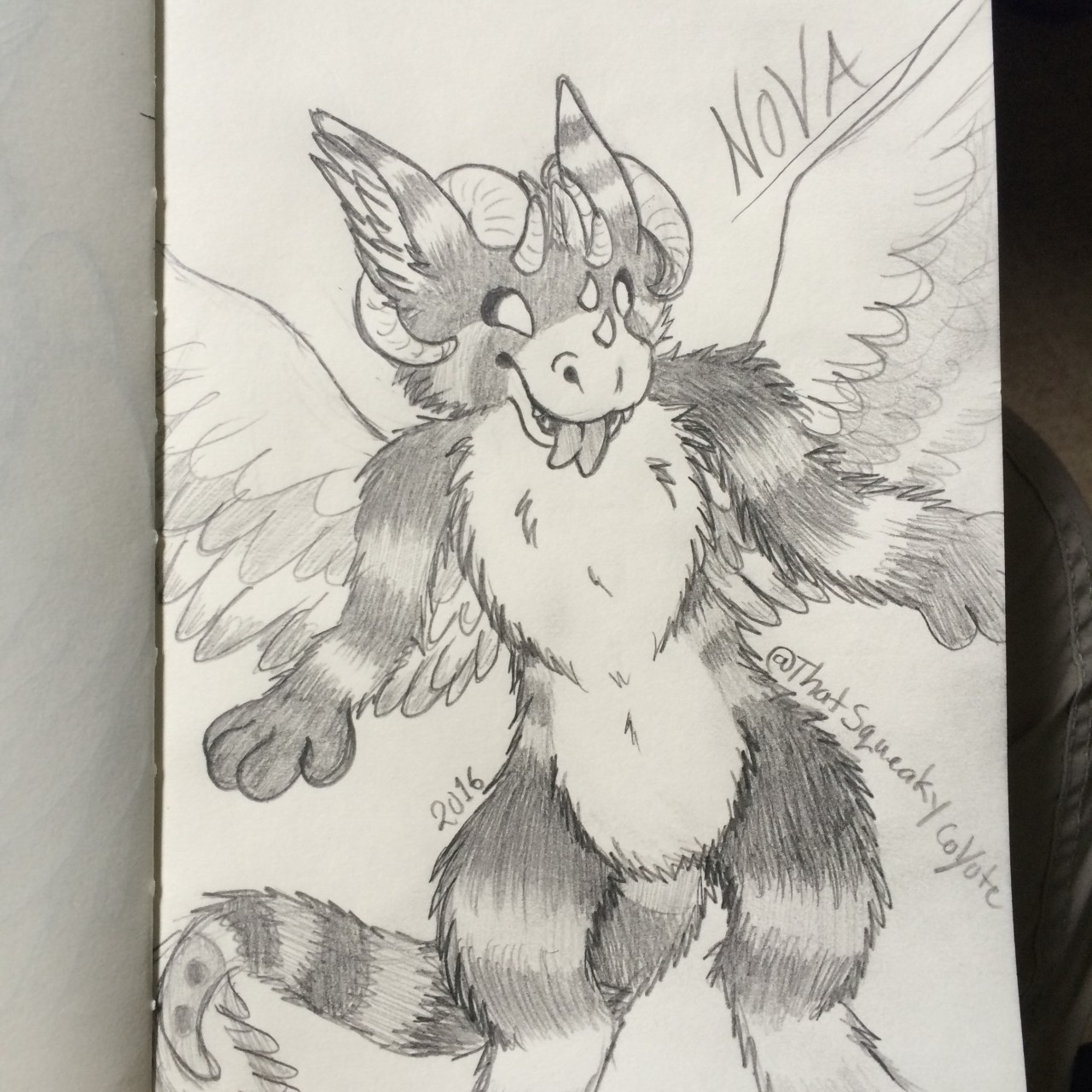 1280x1280 Nova Angel Dragon Sketch By Thatsqueakycoyote - Nova Sketch
