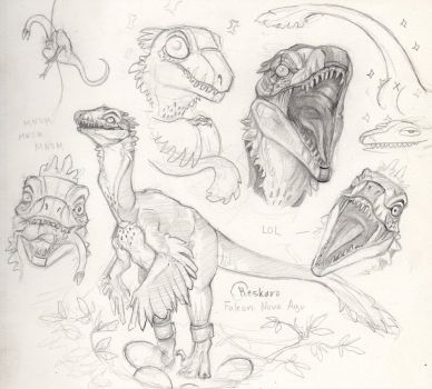 388x350 Falcon Nova Sketch By Reskaro Kern Nature Art Sketches - Nova Sketch