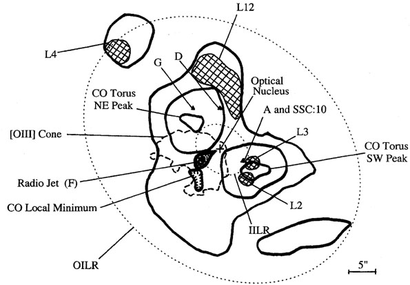 595x413 Ngc 1365 - Nucleus Sketch