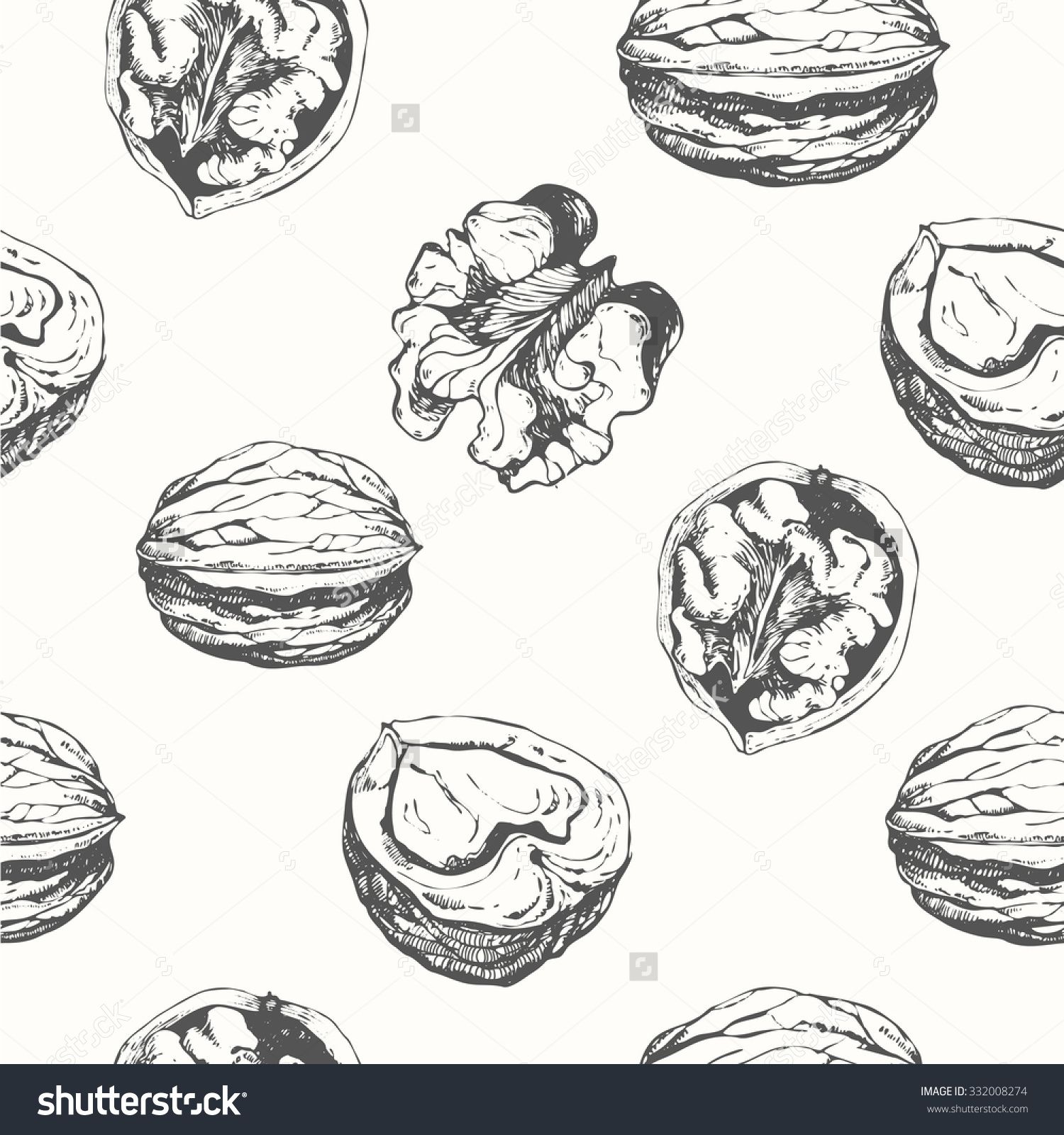 1500x1600 Hand Drawn Sketch Of Walnuts. Seamless Nature Background. Fresh - Nut Sketch
