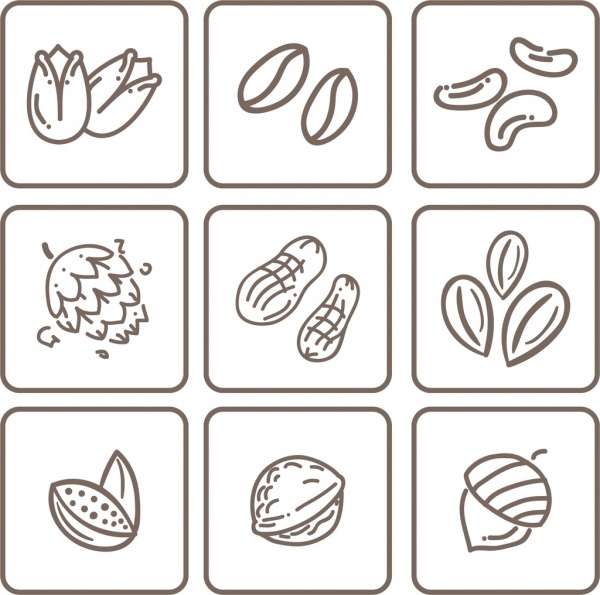 600x595 Natural Nut Icons Collection Flat Monochrome Sketch Free Vector In - Nut Sketch