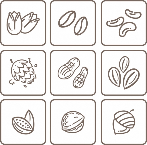 468x464 Natural Nut Icons Collection Flat Monochrome Sketch Vectors Stock - Nut Sketch