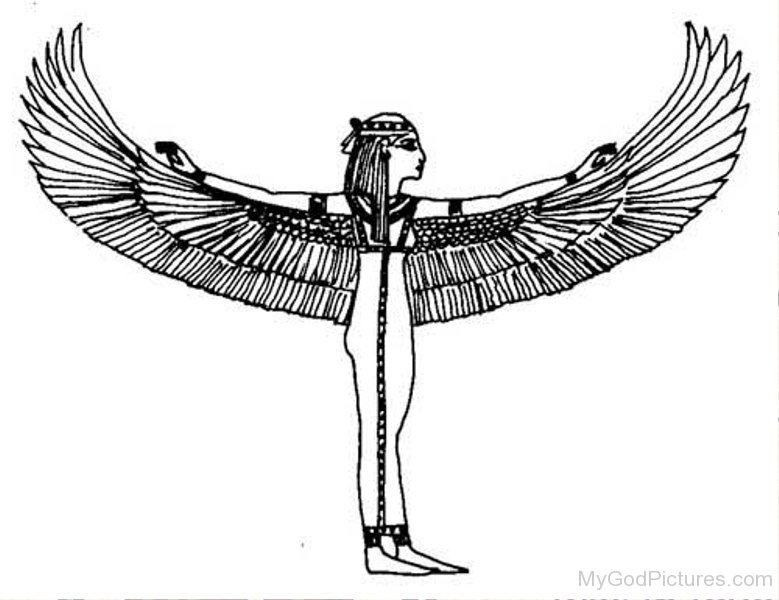 779x600 Sketch Of Nut - Nut Sketch