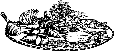 482x221 Improving Nutrition Through Home Gardening - Nutrition Sketch